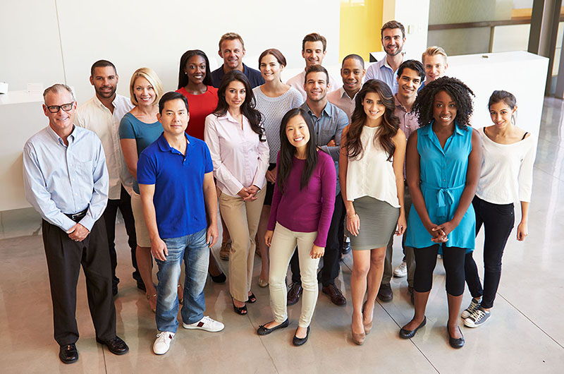 head office team
